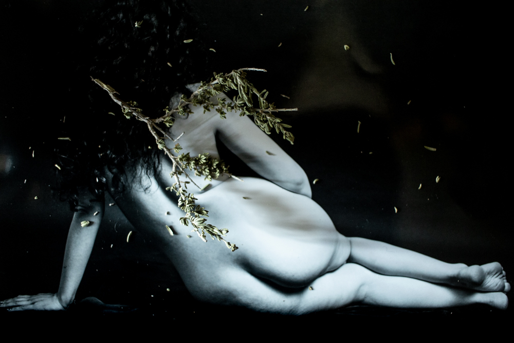 Thyme Soul